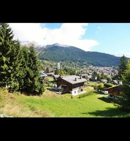 Charmant 3 Pieces Apartment Verbier